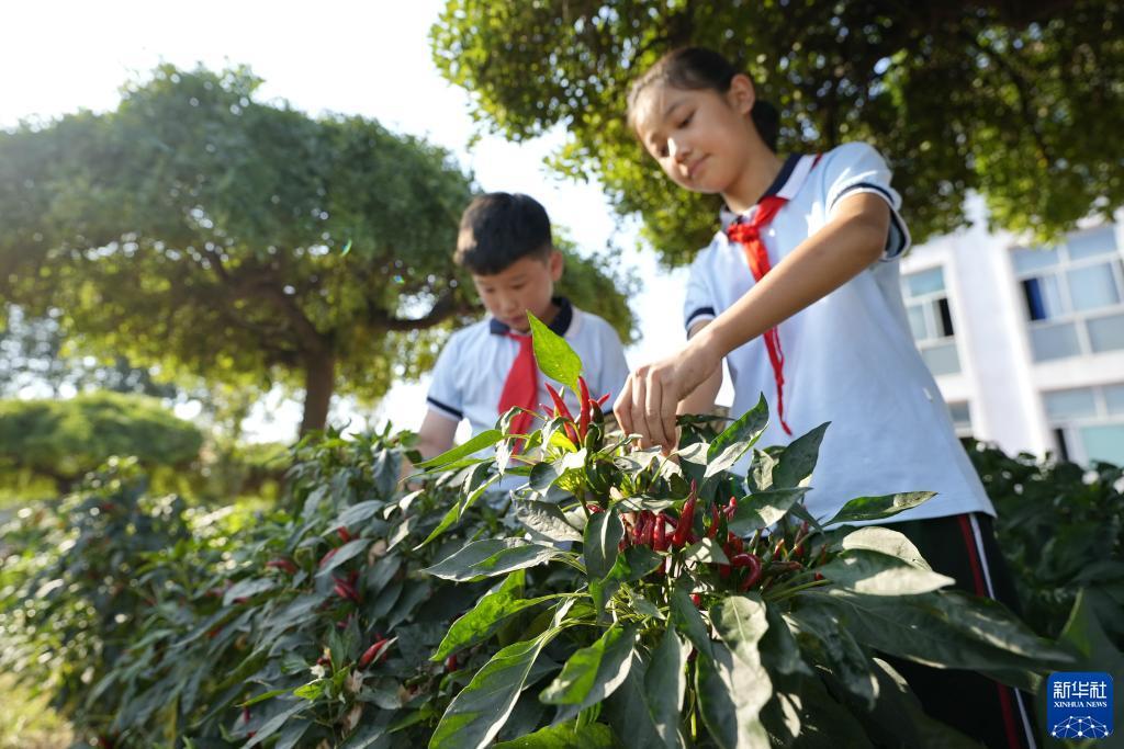 博乐手机游戏官网
